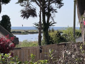 IMG_9553-min